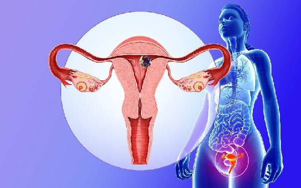 哪些方法可以调理卵巢早衰？多久可以恢复生育？