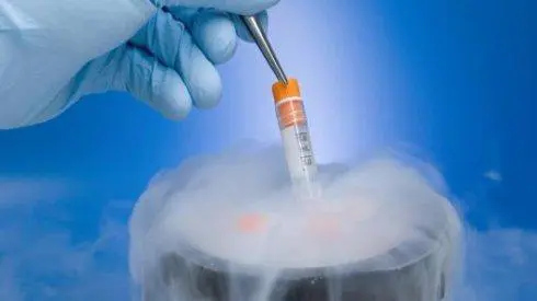 胚胎冷冻费用怎么算的