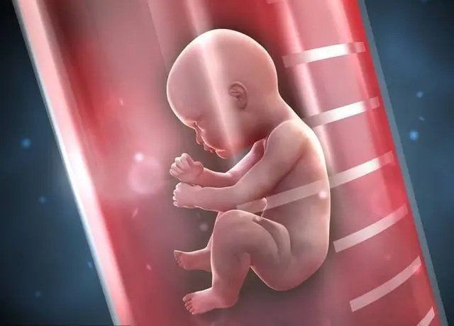 湖南最大供卵助孕机构2023排名出炉！附供卵助孕机构选择技巧