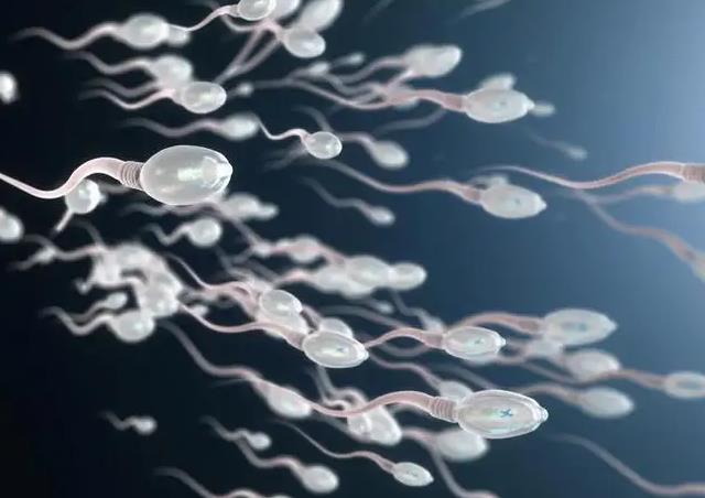 国家精子库买精子需要什么条件？如何才能买卖精子？
