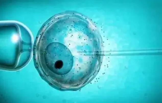2022年安徽医科大学第一附属医院做借卵试管婴儿费用多少钱?