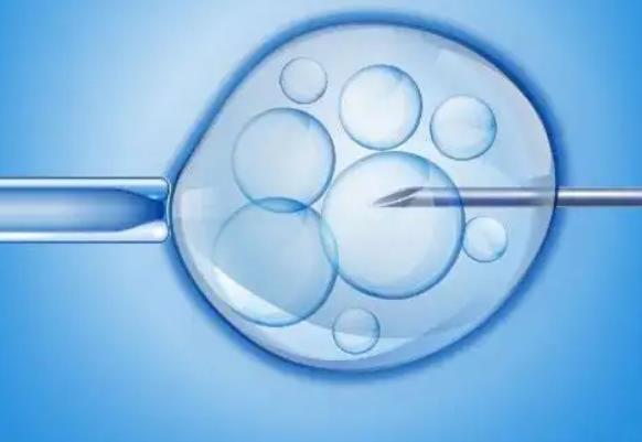 湖南省妇幼保健院做借卵试管婴儿费用多少钱？省妇幼可以做借卵试管吗？