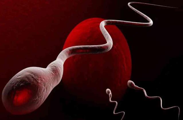 国内单身未婚女性可以申请精子库精子做试管婴儿吗？