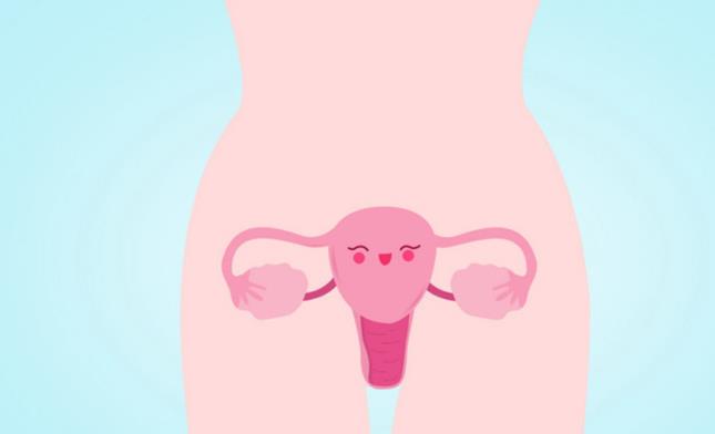47岁绝经女性做供卵试管的成功率有多少？影响成功率的因素有哪些？
