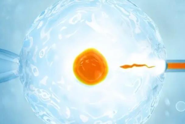 2023咸宁借卵试管婴儿医院排名，附试管助孕机构一览！