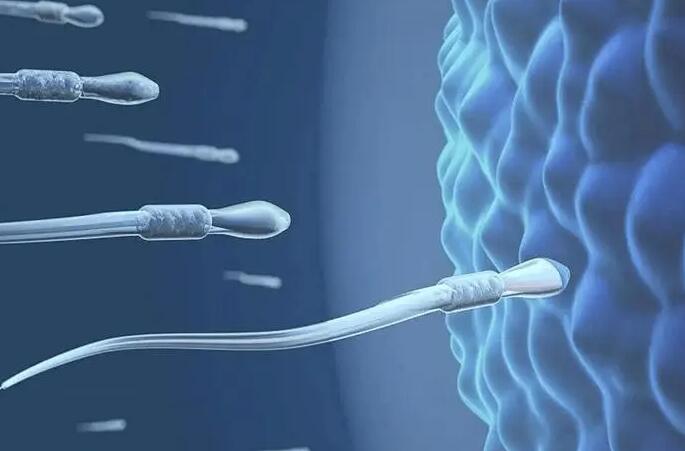 2023男生可以试管怀孕吗？附试管怀孕流程？