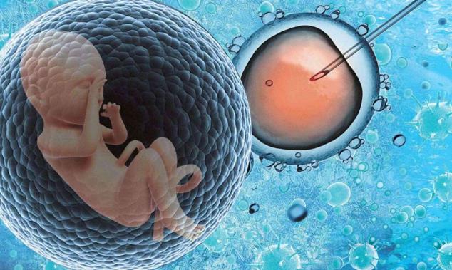 怀孕孕酮低导致怀孕两次都胎停了能做三代试管供卵吗？