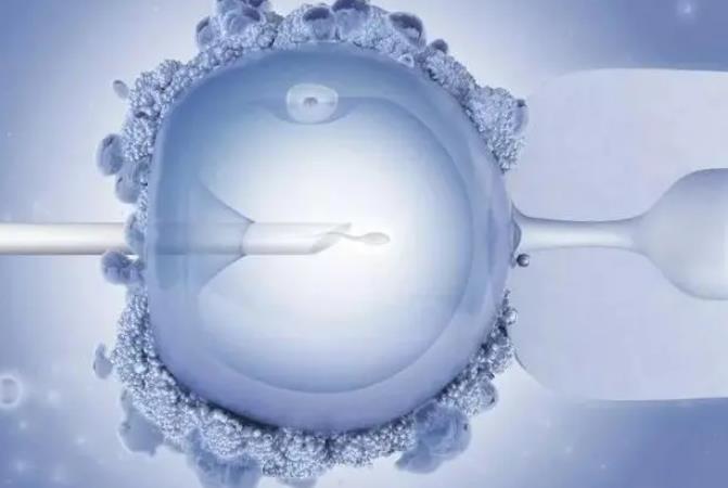 南京妇幼生殖中心申请供精人授等待时间解析，没有精子来源可以等待!