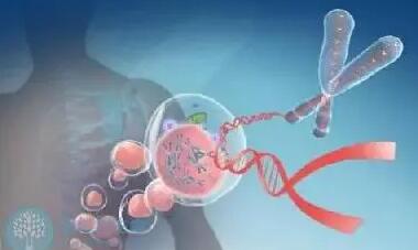 染色体缺失会导致不育吗能做试管吗？