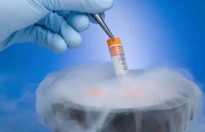 内膜异位症移植鲜胚好还是冻胚好一点？