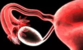 2024输卵管结扎后试管还会宫外孕吗会出血吗？