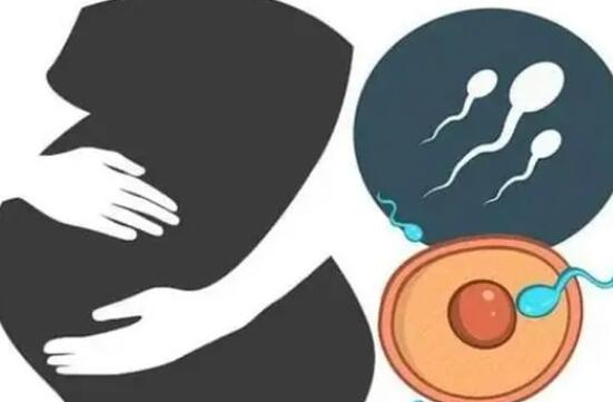 2024湖南供卵试管助孕选生孩子的费用多少钱？