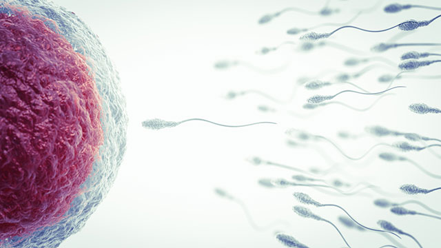 精液检查显示精子质量不好可以选择做试管婴儿？