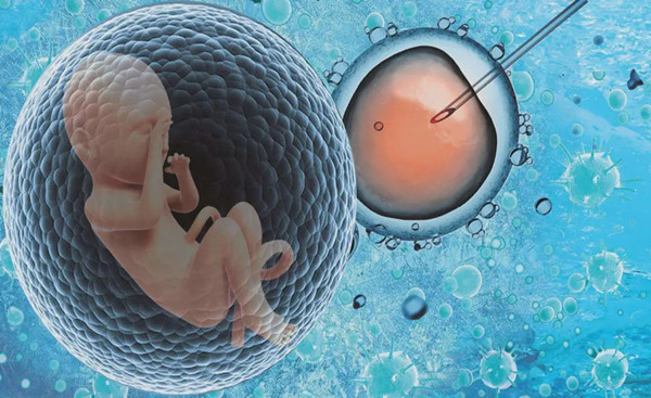 单亲妈妈在国内可以做第三代试管婴儿选胎儿性别生男孩吗